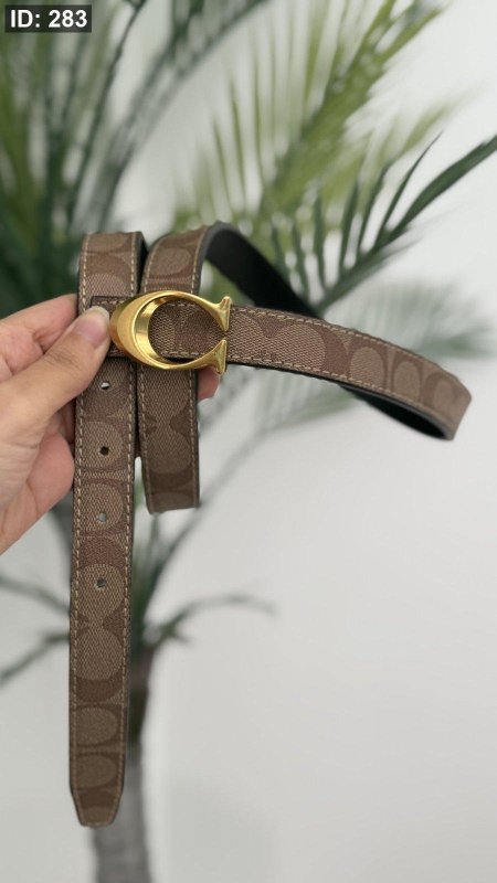 بيج / شعار